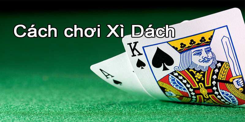 Hướng Dẫn Cách Tính Xác Suất Xì Dách Chuẩn 99%